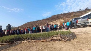 Öğrenciler, orman yangınında zarar gören alana fidan dikti
