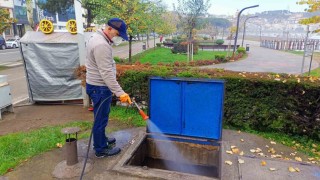 Orduda haşerelere karşı kışlak çalışması başlatıldı