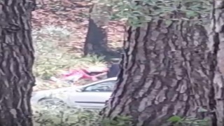 Ormanlık alanda kadını darbeden şüpheli yakalandı