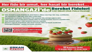 Osmangazi Belediyesi yüzde 50 hibeli çilek fidesi dağıtacak