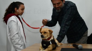 Osmaniye Belediyesi’nden “Küçük Veteriner Hekimler” Etkinliği