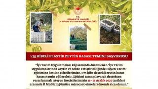 Osmaniye’de Çiftçilere %75 Hibeli Zeytin Hasat Kasası Desteği