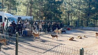 Osmaniye’de Öğrencilerden Hayvan Barınağına Anlamlı Ziyaret