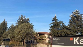Osmaniyede sığır balıkçıllarının kış konaklaması ilgi çekiyor