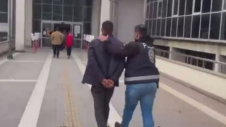 Osmaniye’de Tavuk Hırsızlığı Yapan Şahıs Yakalandı