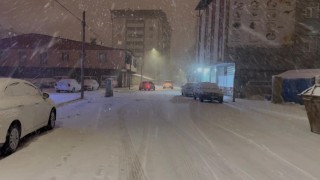 Patnosta kar yağışı ulaşımı aksattı, tırlar yolda kaldı