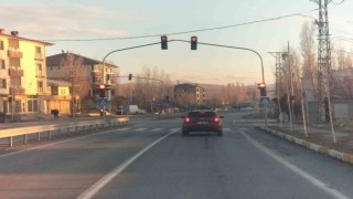 Patnosta trafik ışıkları yeniden faaliyete geçti