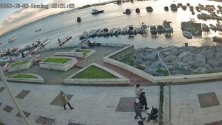 Pendikte vicdanları sızlatan olay: Kediye tekme atıp denize fırlattı