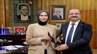 Rektör Hacımüftüoğlu, Tüba-Gebip ödülü sahibi Prof. Dr. Rabia Meryem Yılmazı ağırladı