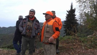 Rizede ayı için sürek avı başlatıldı