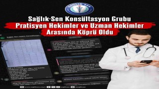 Sağlık-Sen Konsültasyon Grubu, pratisyen hekimler ve uzman hekimler arasında köprü oldu