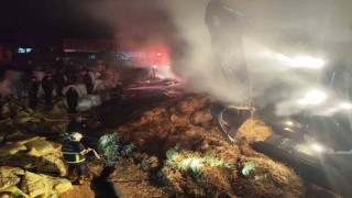 Samanlıkta çıkan yangın bitişikteki ağıla sıçramadan söndürüldü