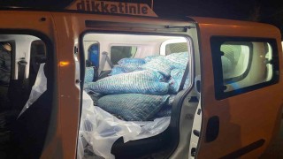 Samsunda 300 kilo kaçak midye ele geçirildi