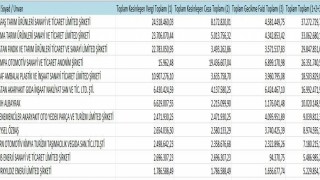 Samsunun vergi yüzsüzleri açıklandı