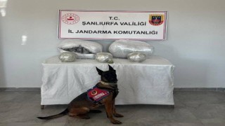 Şanlıurfada 25 kilogram uyuşturucu madde ele geçirildi