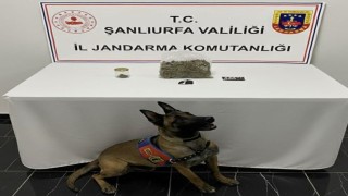 Şanlıurfada uyuşturucu operasyonu: 1 gözaltı
