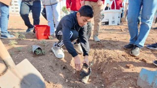 Şanlıurfada Yeşeren Okullar Projesi ile fidanlar toprakla buluştu