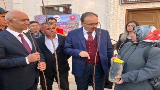 Siirtli çiftçilere 25 bin fıstık ve 4 bin 300 adet Trabzon Hurması fidanı dağıtıldı