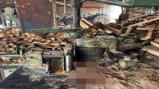 Sinopta iş kazası: Elini hızar makinesine kaptırdı