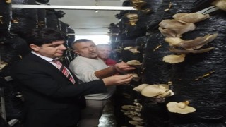 Sinopta mantar yetiştiriciliği eğitimi