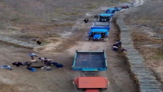 Sinopta orman köylüsüne kış öncesi destek