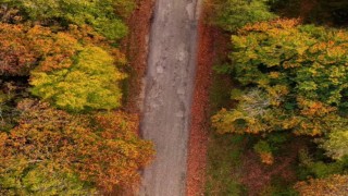 Sinopta sonbahar güzelliği