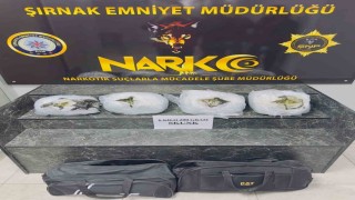 Şırnakta 6 kilo 200 gram skunk ele geçirildi