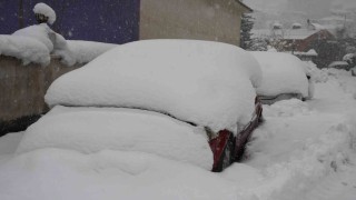 Şırnakta araçlar kar altında kayboldu