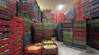 Soğuk Hava Deposu tam kapasite hizmet veriyor
