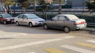 Soğuk hava sebebiyle çimler ve otomobil camları buz tuttu