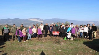 Sökede fidanlar toprakla buluştu