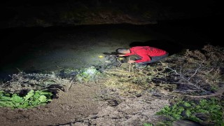 Su kanalına düşen buzağıyı itfaiye kurtardı