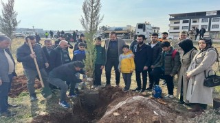 Sur olaylarında şehit düşen kolluk kuvvetleri için Diyarbakırda fidan dikildi