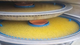 Sürdürülebilir Balıkçılık İçin Alabalık Yavruları Kontrol Edildi