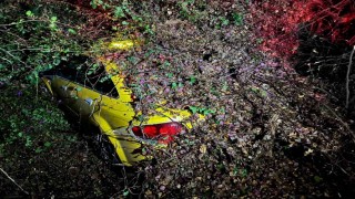 Sürücüsünün içinde olduğu otomobilin üzerine ağaç devrildi