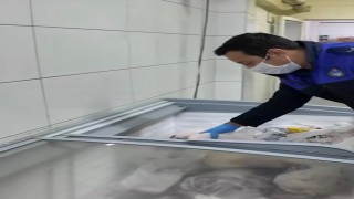 Talasta zabıta ekiplerinden gıda denetimi