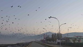 Tatvan sahilinde gökyüzünde sıra dışı manzara