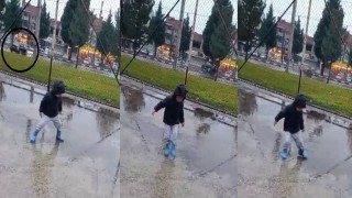 Tavşanlıda orta refüjdeki ağaca çarpan otomobildeki 2 kişi yaralandı