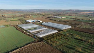 Tekirdağda 70 futbol sahası büyüklüğünde sera naylonu dağıtıldı