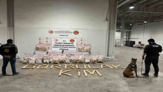 Ticaret Bakanlığı Gümrükler Muhafaza ekipleri, kaçakçılıkla mücadelesini sürdürüyor