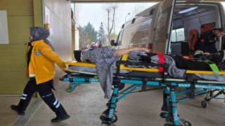 Ticari araç ağaca çarptı: 1i çocuk 2 yaralı
