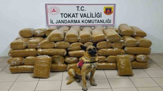 Tokatta 485 kilogram kaçak tütün ele geçirildi