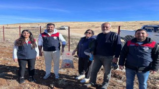 Tuncelinin 4 ilçesinde sarımsak ekimi yapıldı