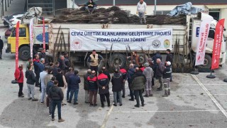 Türkiyenin ceviz başkenti Denizlide ceviz fidanı dağıtımı başladı