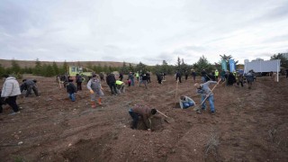 TUSAŞ şehitleri anısına binlerce fidan toprakla buluştu