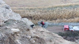 Uçurumda mahsur kalan keçileri itfaiye kurtardı