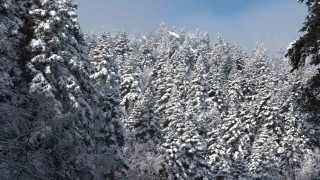 Uludağda göz gözü görmüyor