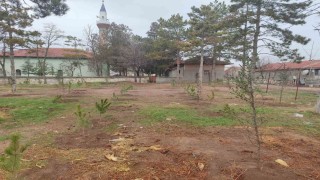 Umraniye köylüleri 300 adet fidanı okul ve camii bahçesine diktiler