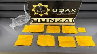 Uşakta çok sayıda uyuşturucu madde ele geçirildi