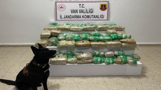 Vanda 51 kilo skunk ele geçirildi